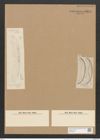 Amphora greundleri Grun. (de-Toni-Nr.: Genus 36, Species 1659) Zeichnungen Sammlung Grunow Nr. 3174 (NHMW-BOT-W0370616)